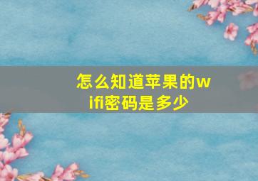 怎么知道苹果的wifi密码是多少