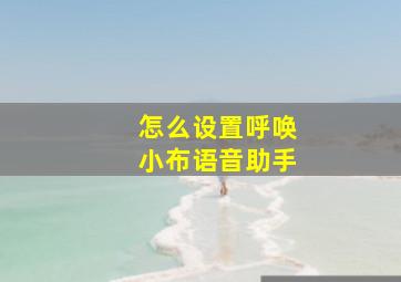 怎么设置呼唤小布语音助手