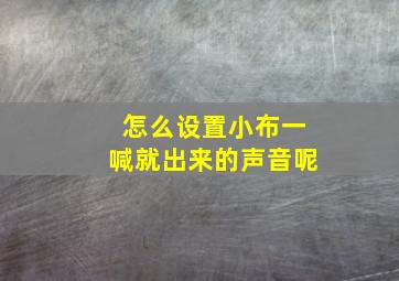 怎么设置小布一喊就出来的声音呢