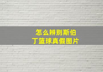 怎么辨别斯伯丁篮球真假图片