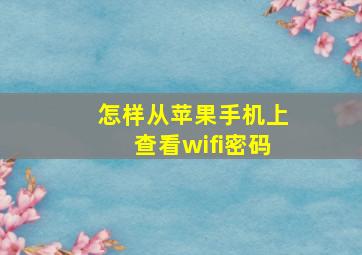 怎样从苹果手机上查看wifi密码