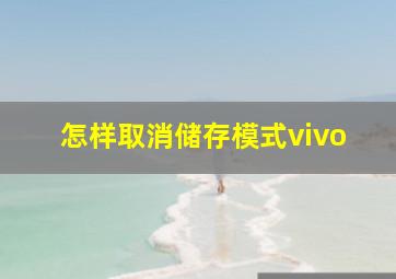 怎样取消储存模式vivo