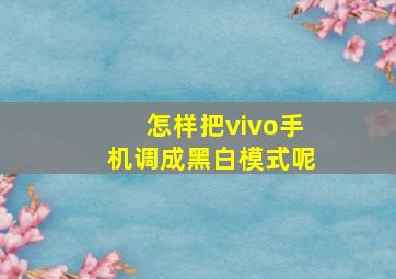 怎样把vivo手机调成黑白模式呢