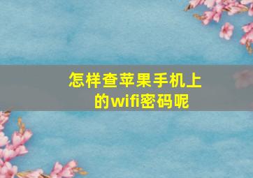 怎样查苹果手机上的wifi密码呢