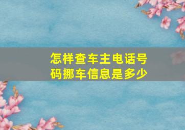 怎样查车主电话号码挪车信息是多少