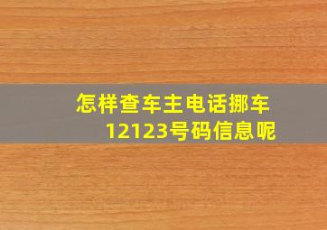 怎样查车主电话挪车12123号码信息呢