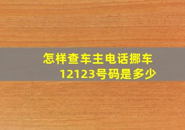 怎样查车主电话挪车12123号码是多少