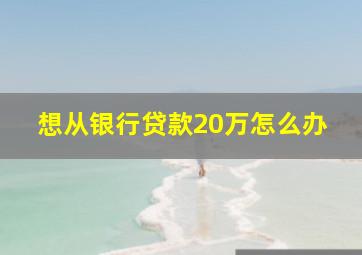 想从银行贷款20万怎么办