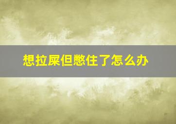 想拉屎但憋住了怎么办