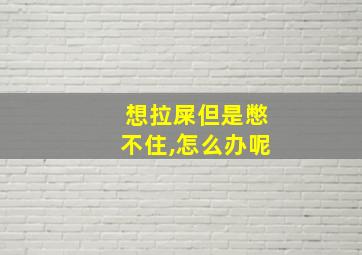 想拉屎但是憋不住,怎么办呢