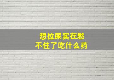 想拉屎实在憋不住了吃什么药