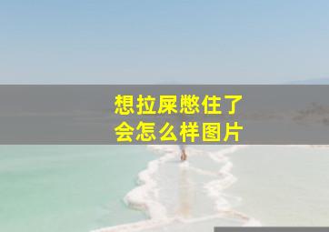 想拉屎憋住了会怎么样图片