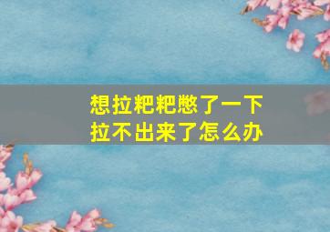 想拉粑粑憋了一下拉不出来了怎么办