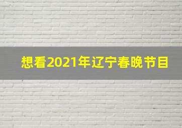 想看2021年辽宁春晚节目