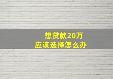 想贷款20万应该选择怎么办