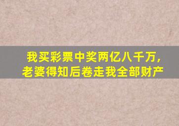 我买彩票中奖两亿八千万,老婆得知后卷走我全部财产