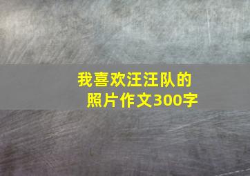 我喜欢汪汪队的照片作文300字