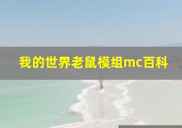 我的世界老鼠模组mc百科