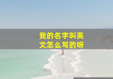 我的名字叫英文怎么写的呀