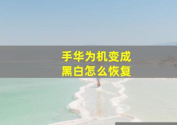 手华为机变成黑白怎么恢复