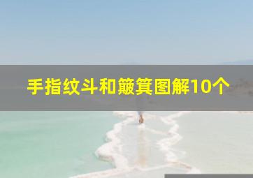 手指纹斗和簸箕图解10个