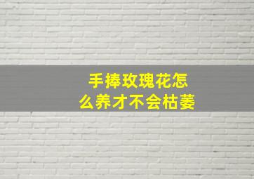 手捧玫瑰花怎么养才不会枯萎