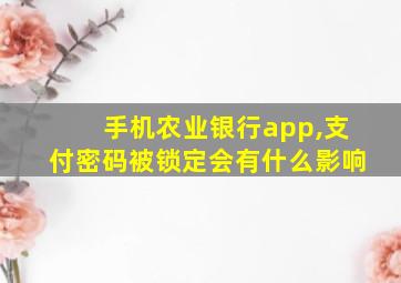 手机农业银行app,支付密码被锁定会有什么影响