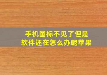 手机图标不见了但是软件还在怎么办呢苹果