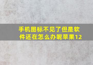 手机图标不见了但是软件还在怎么办呢苹果12