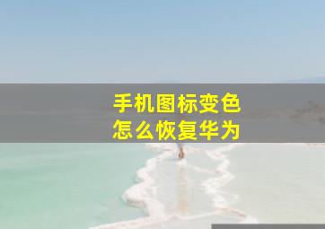 手机图标变色怎么恢复华为