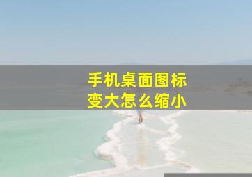 手机桌面图标变大怎么缩小