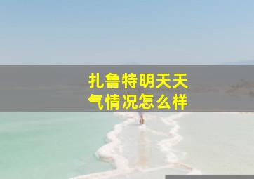 扎鲁特明天天气情况怎么样