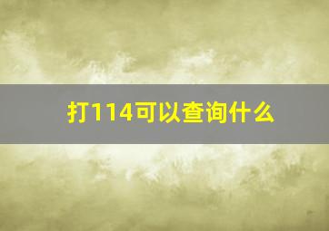 打114可以查询什么