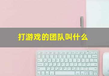 打游戏的团队叫什么