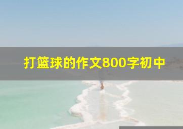 打篮球的作文800字初中