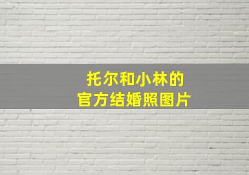 托尔和小林的官方结婚照图片