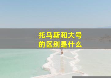 托马斯和大号的区别是什么