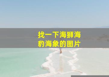 找一下海狮海豹海象的图片