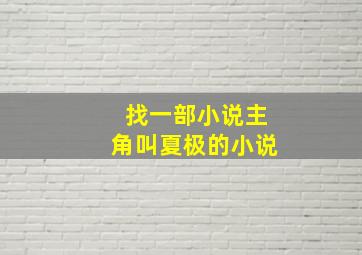 找一部小说主角叫夏极的小说