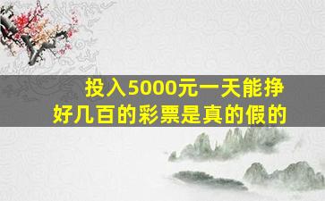 投入5000元一天能挣好几百的彩票是真的假的