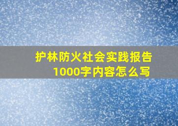 护林防火社会实践报告1000字内容怎么写