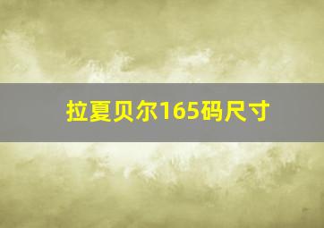 拉夏贝尔165码尺寸