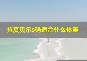 拉夏贝尔s码适合什么体重