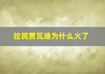 拉民贾瓦迪为什么火了