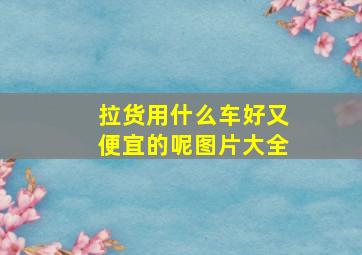 拉货用什么车好又便宜的呢图片大全