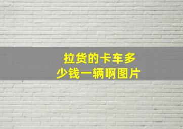 拉货的卡车多少钱一辆啊图片