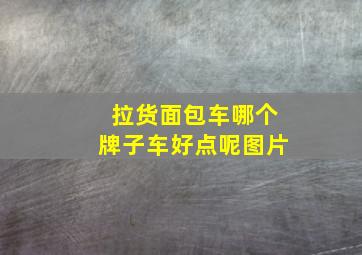 拉货面包车哪个牌子车好点呢图片