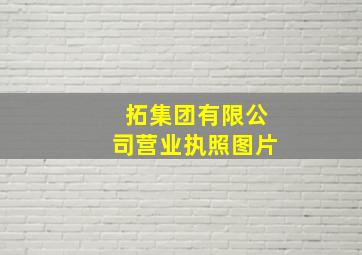 拓集团有限公司营业执照图片