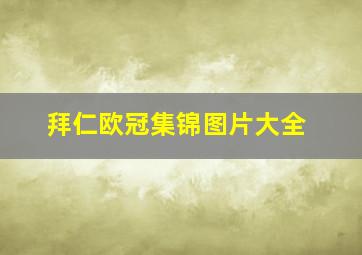 拜仁欧冠集锦图片大全