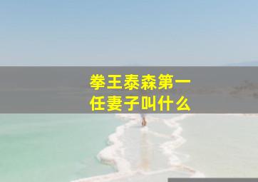 拳王泰森第一任妻子叫什么